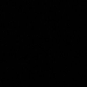 Meet your Posher, Nonnie